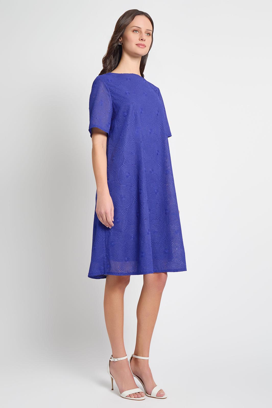 A-Line Embroidered Woven Dress